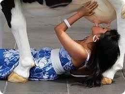 See more of lembu punya susu, sapi dapat nama on facebook. Lembu Punya Susu Sapi Dapat Nama Posts Facebook