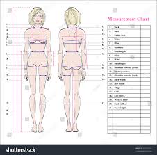 Woman Body Measurement Chart Scheme Stock Photo 505775314