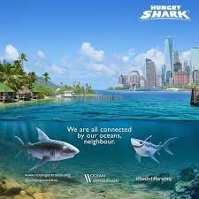 We Are All Connected Save The Sharks Shark Ocean