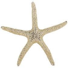 Objets Deco Maisonsdumonde Deco Bord De Mer Lanternes En Metal