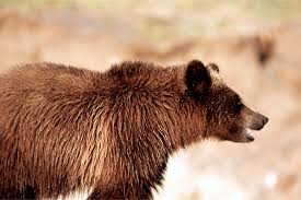 Erwin Frank Evert Archives