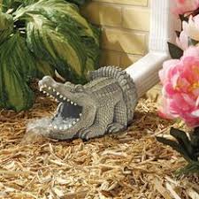 There are 2 people looking at this charter. 25 77 Alligators Ideas Reptiles And Amphibians Animals Wild Crocodiles