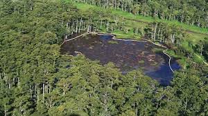 louisiana sinkhole engulfs boat