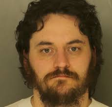 Christiana man sentenced after second attempt to elude police in farm  fields