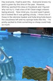 Pin By Martha Braun On Decor And Hints Pool Cleaning Pool Cleaning Tips Pool Storage