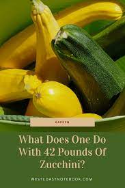 We did not find results for: What Does One Do With 42 Pounds Of Zucchini