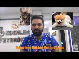 Rus Finosu Hakkinda Kisa Bilgiler Youtube