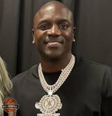 Akon's $6 billion futuristic “Wakanda-inspired” city project in Senegal has  reportedly been scrapped after the government reclaimed the land.