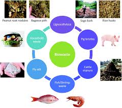 Tehlikeli bir adam, bir mafya ailesinin başı onu kaçırır ve ona 365 gün aşık olmasını sağlar. Waste To Wealth Biowaste Valorization Into Valuable Bio Nano Materials Chemical Society Reviews Rsc Publishing
