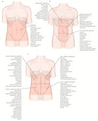 You might experience tenderness and sharp pain on the right side of your chest wall if you strain one of your intercostal muscles. Pin On Pain