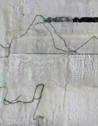 A Brush with the Law: The Art of Lawrence Wolf