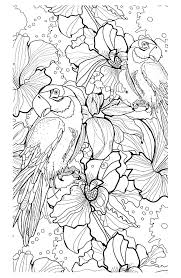 Complex Coloring Page Of Parrots From The Gallery Animals Bird Coloring Pages Animal Coloring Pages Adult Coloring Pages