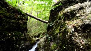 Maybe you would like to learn more about one of these? Why Indian Well Falls Is The Best Swimming Spot In Connecticut