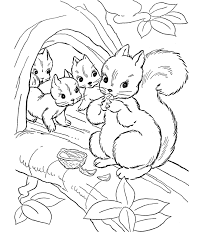 Print and color fall pdf coloring books from primarygames. Coloring Pages Of Squirrels Coloring Home