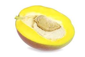 Mango Baby Food Recipes Tips And Ideas