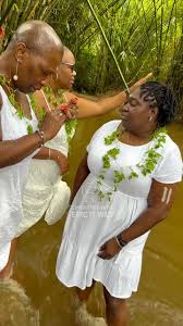 Image result for Afrosolen bainesii