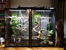 Building this cage was actually super easy if. 11 Reasons Why Glass Cage Is A Bad Choice For Your Chameleon Chameleonowner