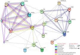 Ms office 365 product key 2021. Ijms Free Full Text Innate Immune Response To Tick Borne Pathogens Cellular And Molecular Mechanisms Induced In The Hosts Html