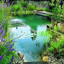 Biotop Natural Swimming Pools Swimming Pool Cost Natural Swimming Ponds Natural Swimming Pools