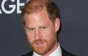 Prince Harry given brutal nickname by palace staff based