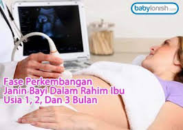 Perkembangan Janin Fase Trimester Pertama Https Babyologist Com Blog Apa Yang Terjadi Di Usia Janin 5 Bulan N3636 Baby Information Blog Facts