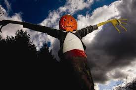 We did not find results for: Scary And Not So Scary Halloween Attractions In New York State