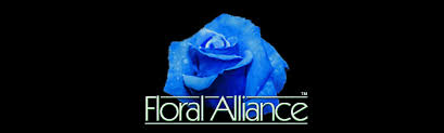 Maybe you would like to learn more about one of these? Martinique Flowers Online Martinique Florist