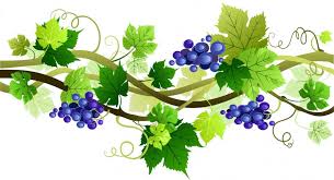 We did not find results for: Ornamental Vines Wein Plus Wine Lexicon