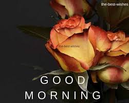Looking for best good morning flowers images? Pin On Good Morning Wishes