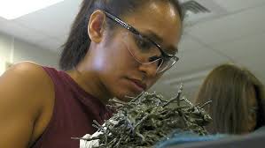 First-in-the-world UH ethnomathematics for licensure approved by Hawaii  Teacher Standards Board