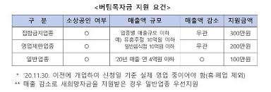 정부는 오는 11일부터 자영업자에 대한 3차 재난지원금(버팀목자금)을 지급한다. Kdddvwsu87ikem