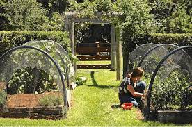 If left uncovered, the garden can turn quickly into a bird buffet, leaving nothing for. How To Keep Birds Away Out Of Your Garden Tips Ideas Install It Direct
