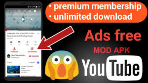 Con esta app, podrás disfrutar de las funciones premium . Youtube Mod Apk Ads Free Pip Mode Premium Membership Background Play Direct Download No Root Youtube