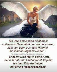 Am vergangenen samstag wurde der schwer misshandelte martin im asyl aufgenommen, nachdem er seinem besitzer entzogen worden war. 18194630 1359671697454513 7155420608031661350 N Jpg 763 960 Spruche Tiere Trauer Um Hund Regenbogenbrucken Hund