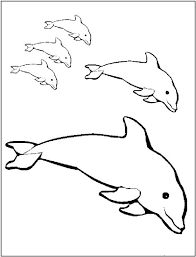 Use this iditarod word search and free printable worksheets to help students learn about this iconic dogsled race held annually in alaska. Free Printable Dolphin Coloring Pages For Kids Dolphin Coloring Pages Mermaid Coloring Pages Animal Coloring Pages