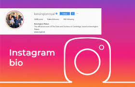 400 Instagram Bio Ideas To Copy And Paste Avasam The instagram bio often is treated as an afterthought—a line or two about your company you hastily fill out when creating your account. instagram bio ideas to copy and paste