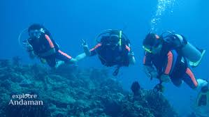 Unleash the thrill of Water Sports ...