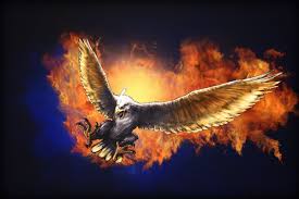 Check spelling or type a new query. Quality Cool Eagle Wallpapers For Pc Mac Tablet Eagle Wallpaper 3d 1200x800 Wallpaper Teahub Io