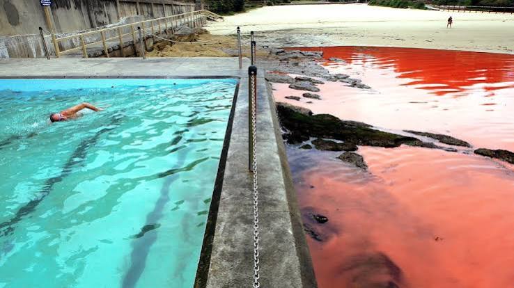 Bloody Ocean: Not Exactly The End of Days | National Geographic