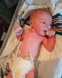 We've been keeping a little secret 🤫 You are so loved already our sweet  boy 💙 Baby McClellan coming April 2024 🥰 Rooster is so excited to be a  big brother! @sean_mac1991