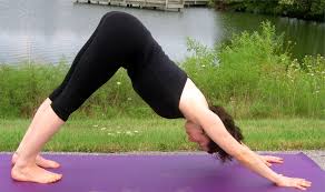 Downward Facing Dog Adho Mukha Svanasana Yoga Pose Yoga Poses Advanced Basic Yoga Poses Yoga Poses For Beginners