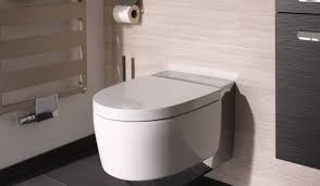 With the duofix up100 being the starting model of the duofix range, you'll save on money but not on quality. Dusch Wc Aquaclean Mera Von Geberit Beyrer Gmbh Gas Wasser Kanal Sanitar Oberhaching