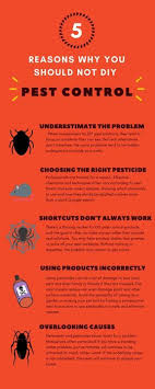 Check spelling or type a new query. Antipest Pest Control Services Spring Hill Tn 2021