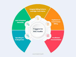 Image result for Recovery Audit Contractor