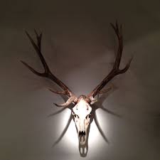 Brilliant Decoration Deer Antler Wall Decor Astounding Inspiration Jpg 1000 1000 Deer Antler Wall Decor Antler Wall Decor Antler Art