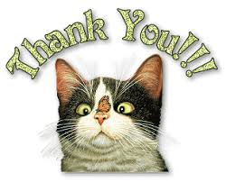 Birthday Thank You Gif Funny Https Encrypted Tbn0 Gstatic Com Images Q Tbn 3aand9gcqaaydmcmpifimjawamlxstvif2tgbuojvngw Usqp Cau