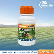 Comite® 570EW
