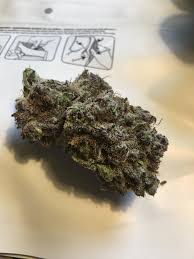Black Mamba Any One Else Smoke This Strain Thoughts Trees