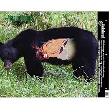 Black Bear Shot Placement Archery Shot Placement Bears Bear Hunting Bear Moose Hunting