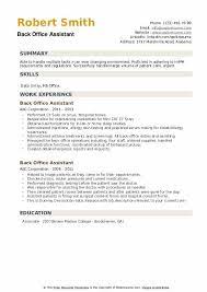 You may also want to include a headline or summary statement that. Back Office Assistant Resume Samples Qwikresume